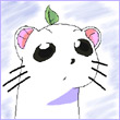 Tokume